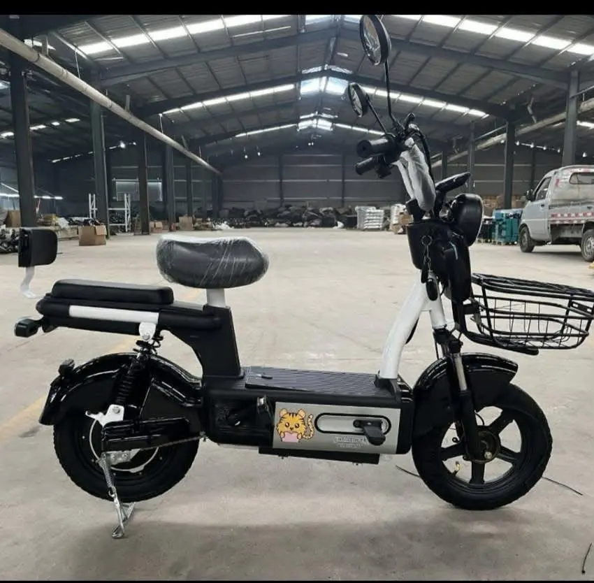 MOTICO CHALLENGER ELEGANT 